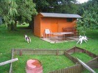 click for a larger view